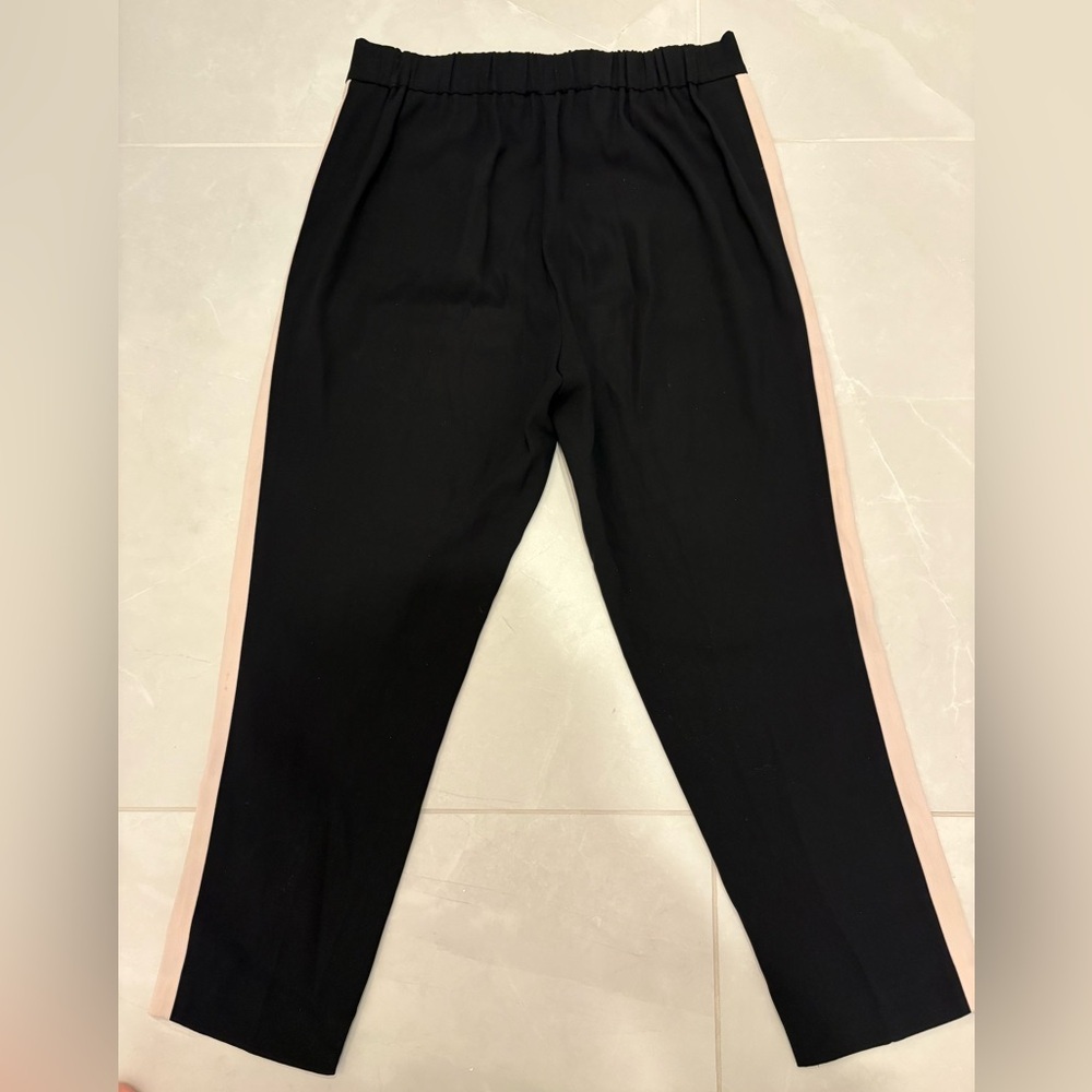 Aritzia Babaton - Terado Conan Pant - Picture 5 of 6